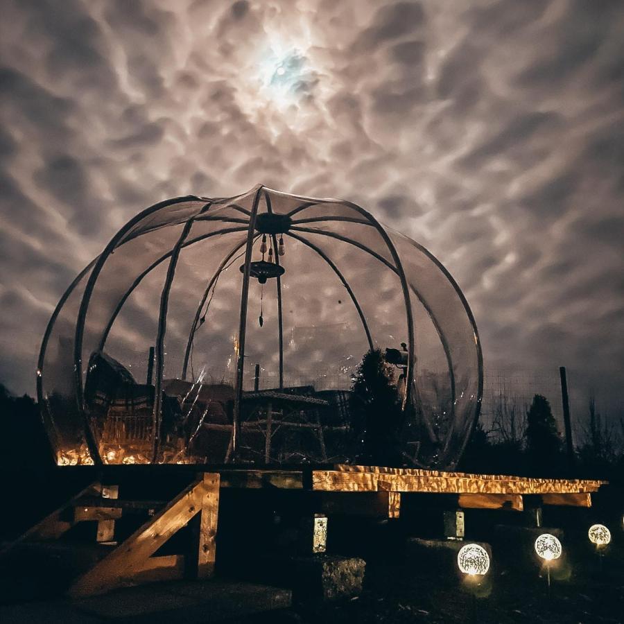 The Wooden Nest -Covasna Villa Dış mekan fotoğraf