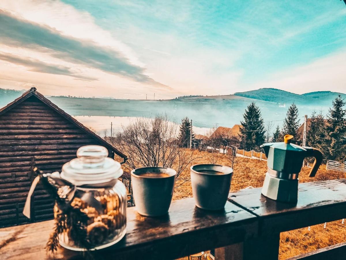 The Wooden Nest -Covasna Villa Dış mekan fotoğraf