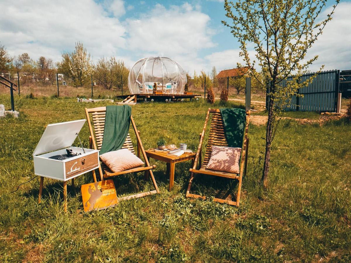 The Wooden Nest -Covasna Villa Dış mekan fotoğraf