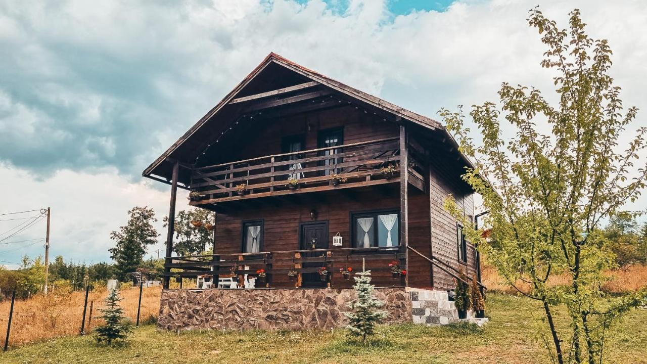 The Wooden Nest -Covasna Villa Dış mekan fotoğraf
