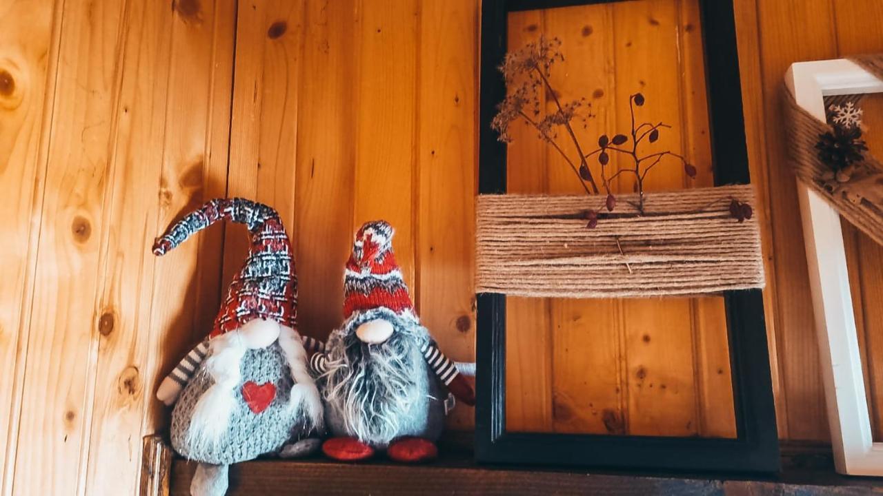 The Wooden Nest -Covasna Villa Dış mekan fotoğraf